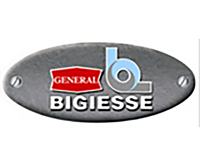 bgs
